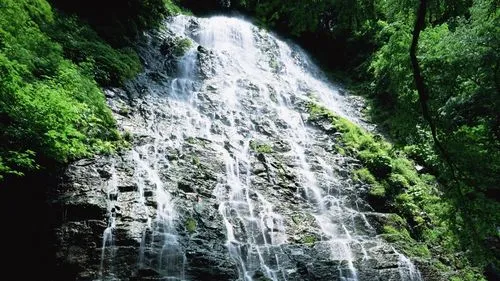 高质量高标准高标准